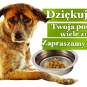 Przejdź do Pusta Miska Przejdź do Pusta Miska